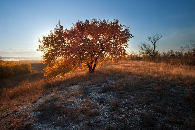 #Donbasscuesta фото превью