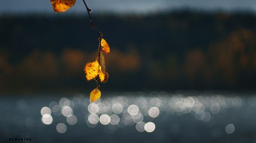 Про осеннее Солнце.