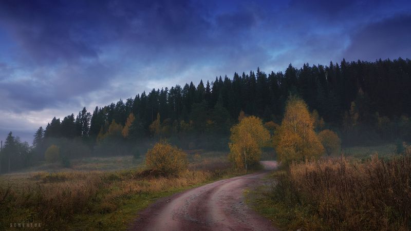 Про таинственный лес. фото превью