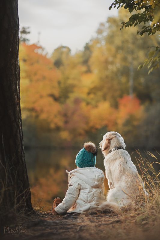 Осенняя сказка фото превью