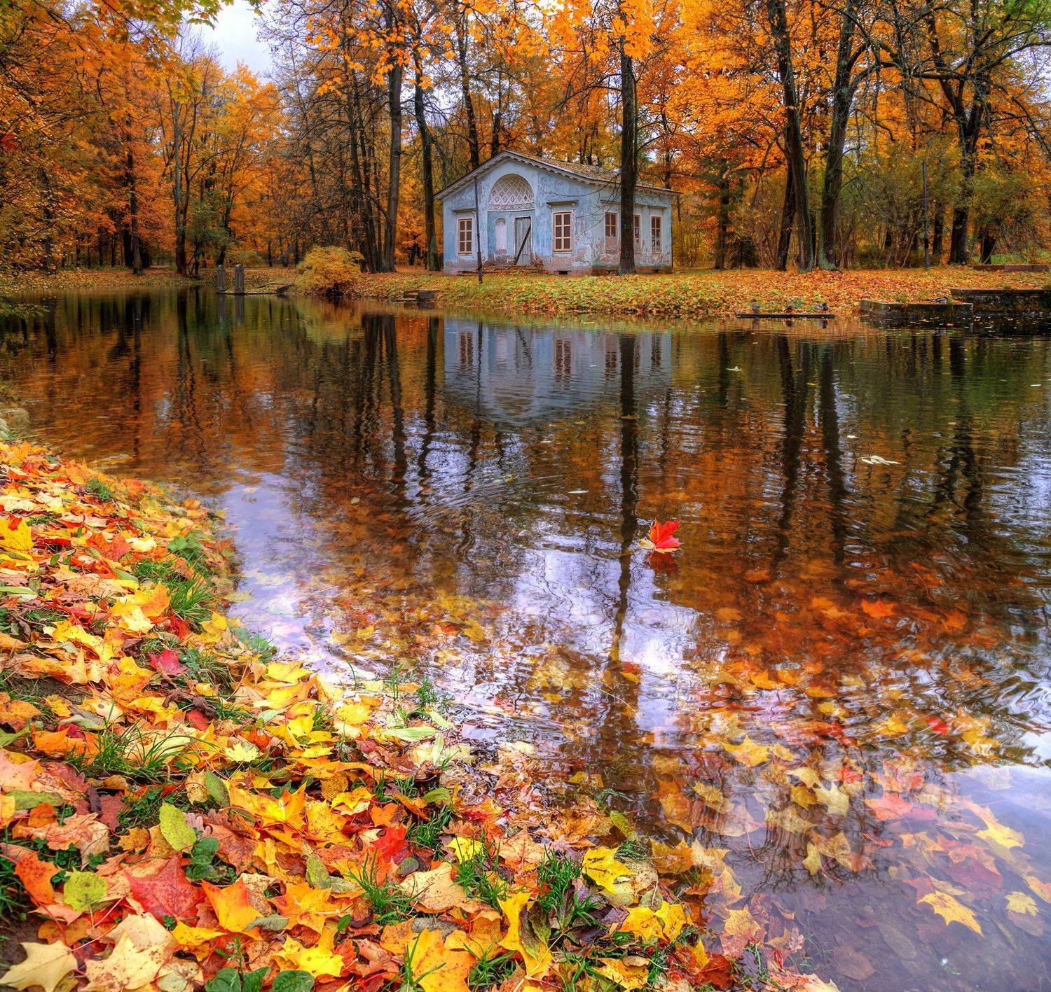 , Эдуард Гордеев