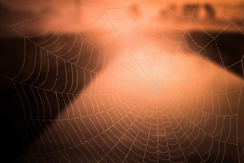 Web фото превью