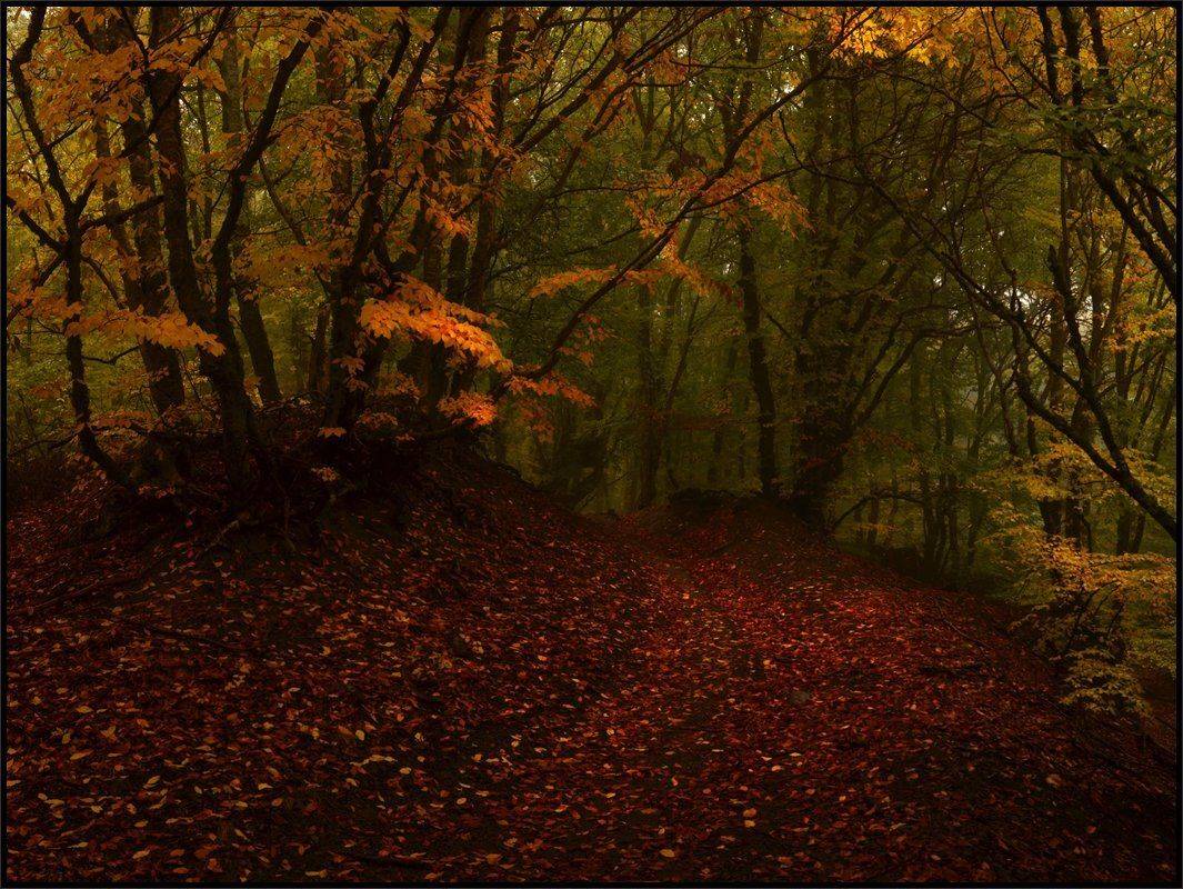 , Владимир Метцгер