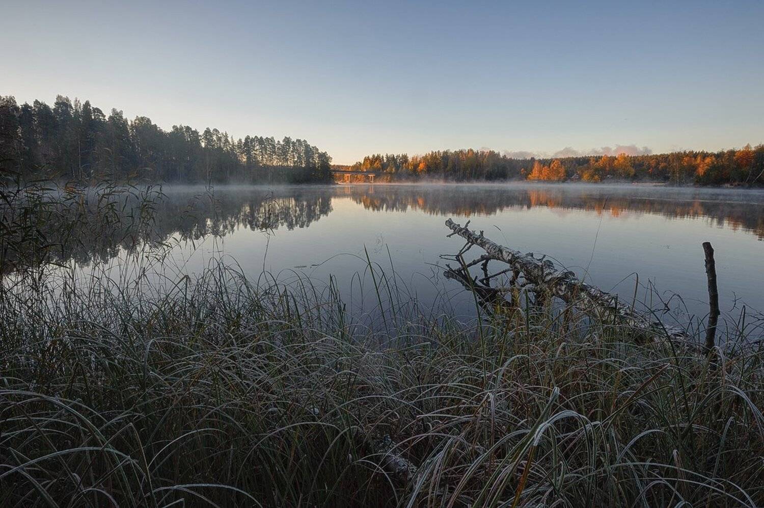 осень,утро,берег,река, Евгений Плетнев