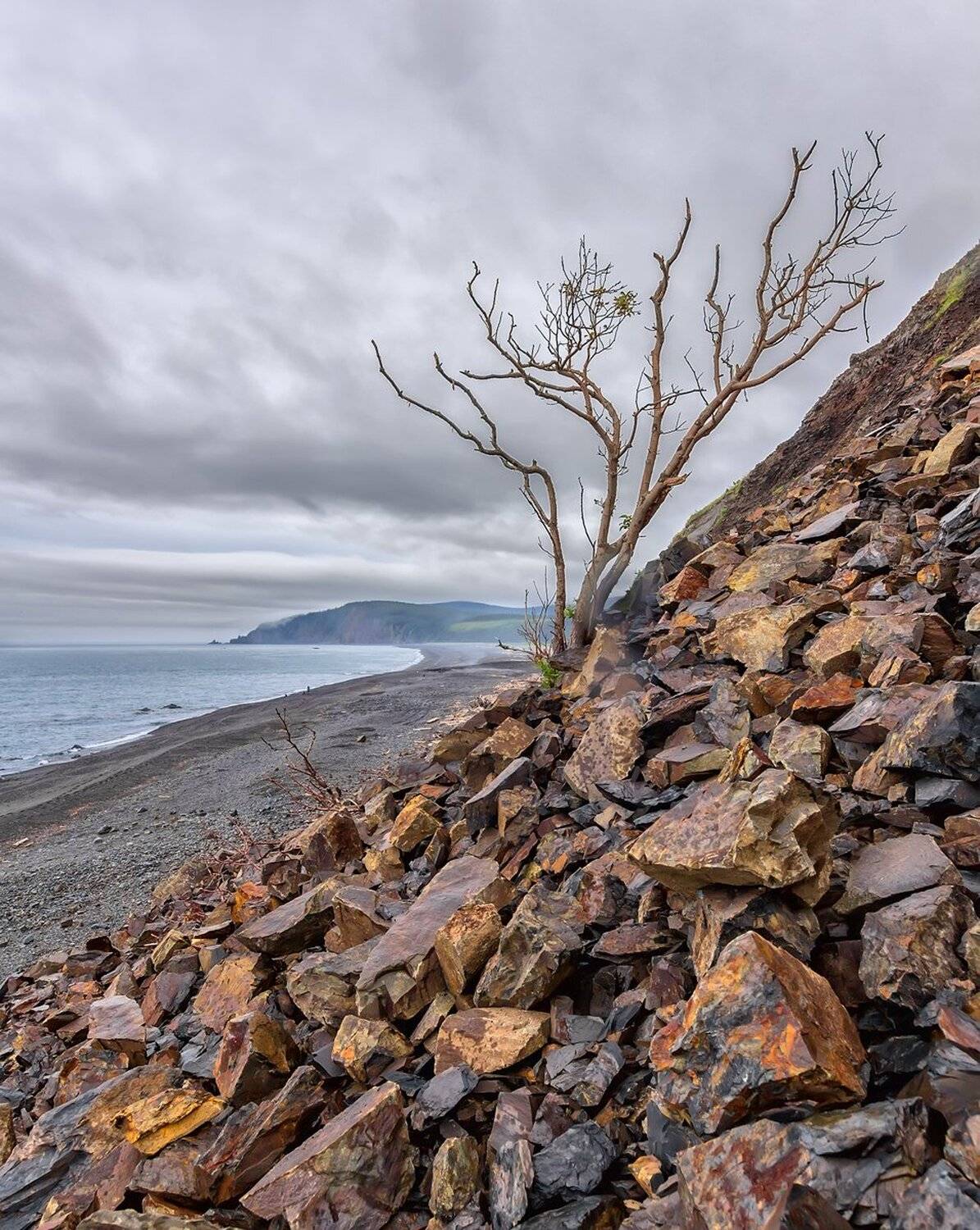 , Николай Андреев