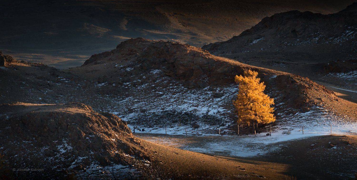 пейзаж, алтай, осень, Александр Кукринов