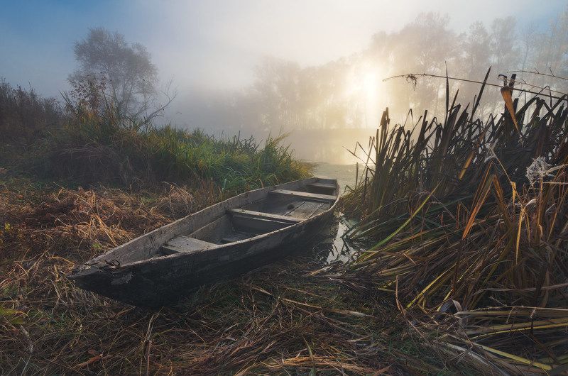 утро, рассвет, туман, солнце, река, пейзаж, лодка, пристанище, осень, камыш Пристанище осени фото превью