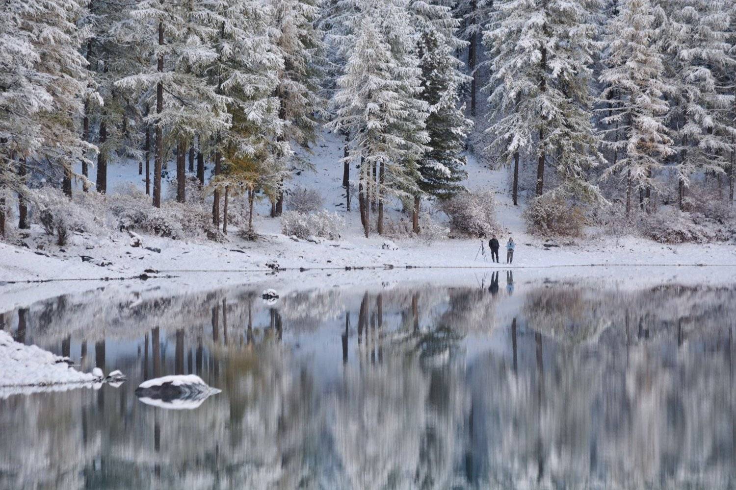 алтай,осень,первый снег, Алексей Кретов