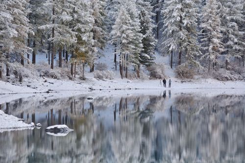 созерцание зазеркалья