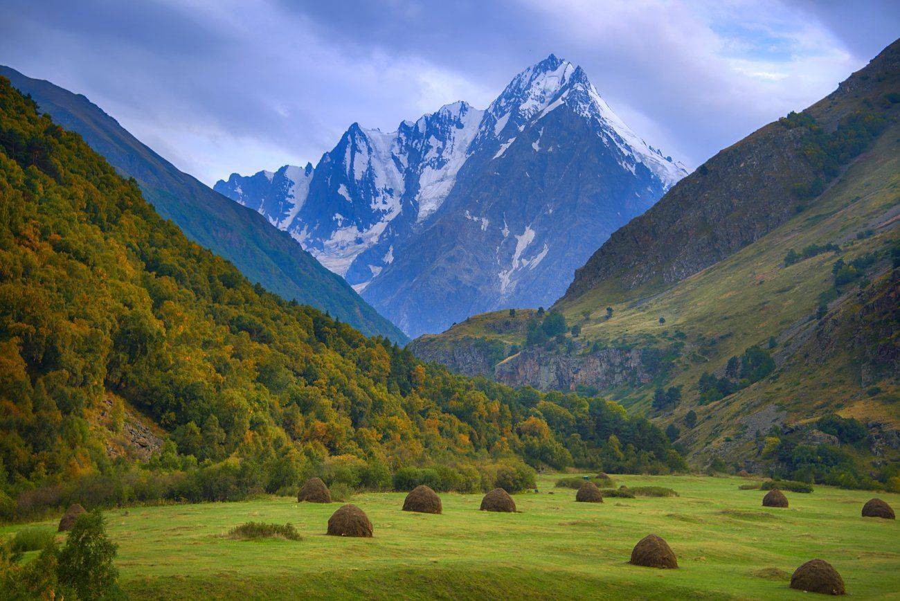 , Елена Брежицкая