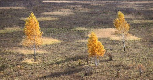 Октябрьские зарисовки