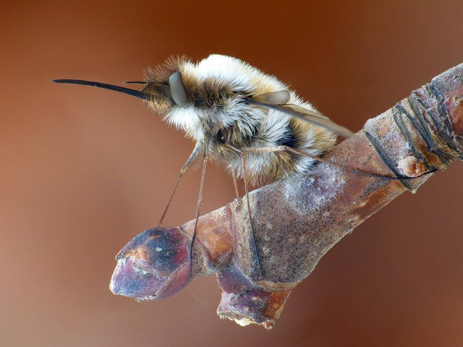 , Кузнецов Дмитрий