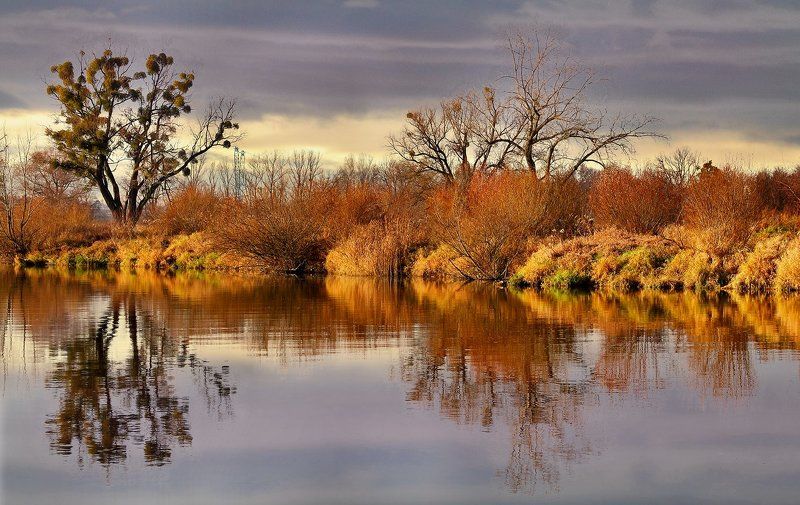 Odra river фото превью