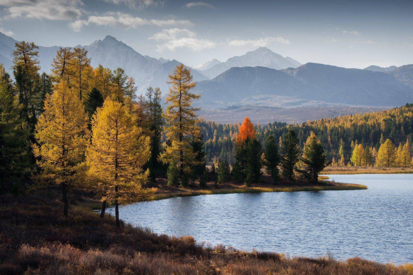 алтай, горы, осень, киделю, Владимир Ляпин