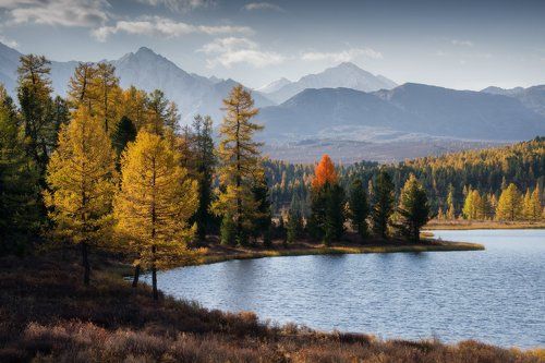 Встречая день