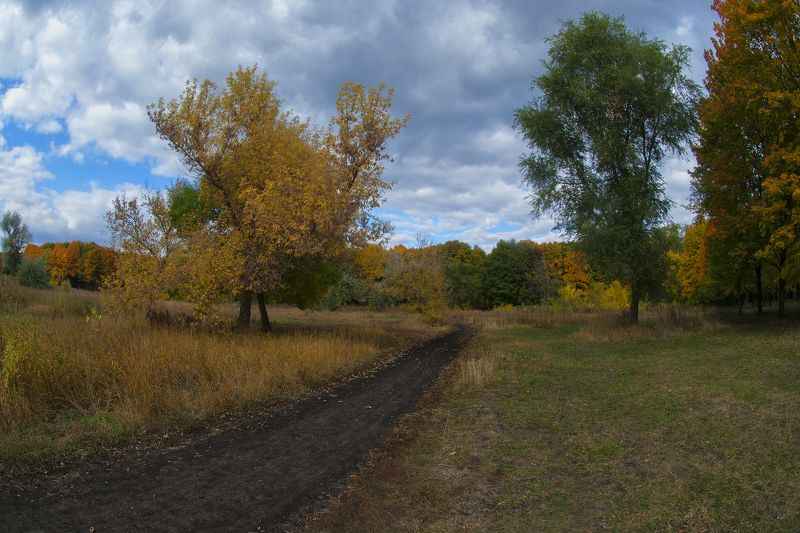 осень,утро,парк,дорога Дорога в осень ... фото превью