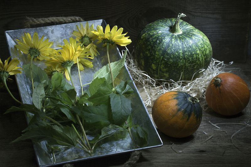 Краски осени фото превью