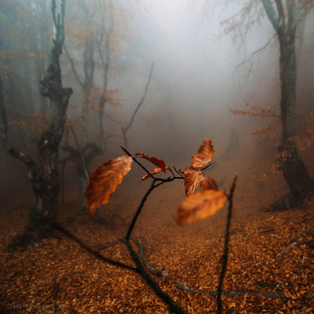 крым, Юрий Коваленко