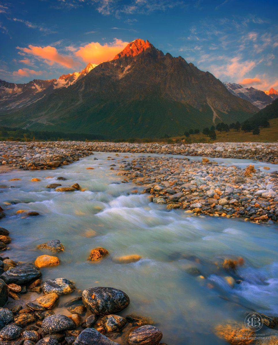 , Елена Брежицкая