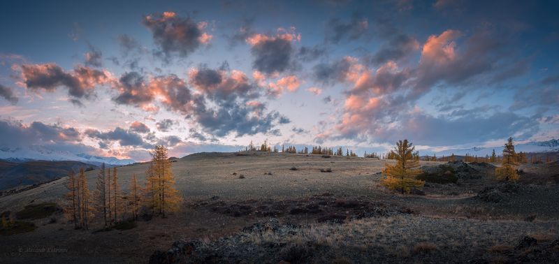 Вечер в Курайской степи... фото превью