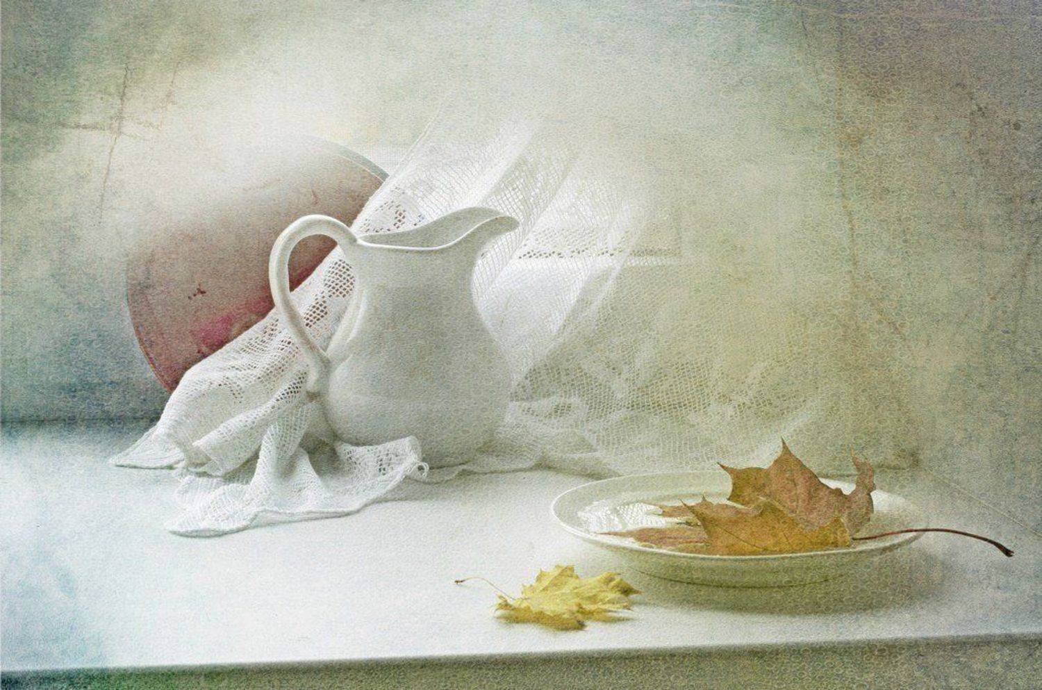 , Синегубова Ольга