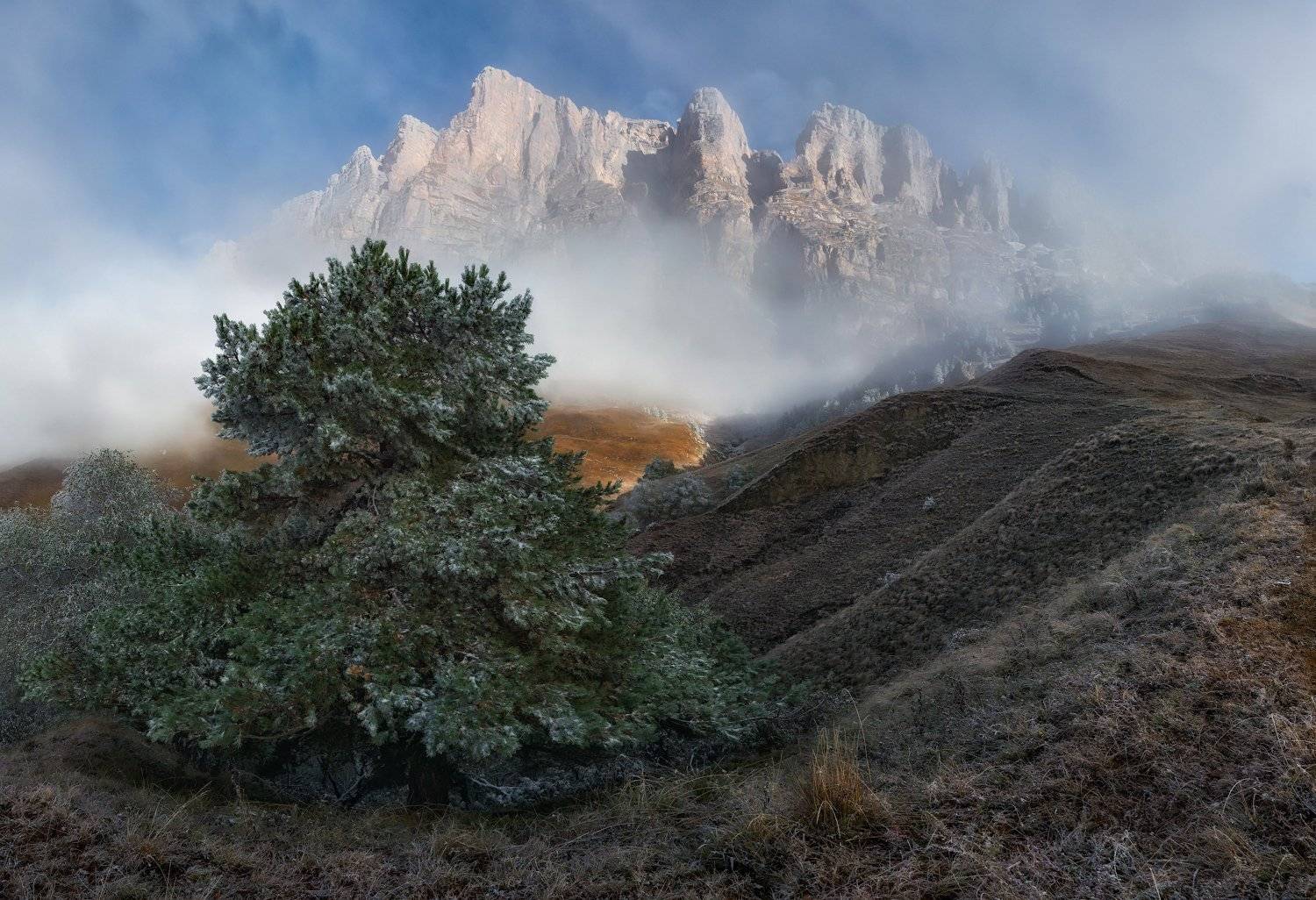 ингушетия, эрзи, кавказ, Андрей Грачев