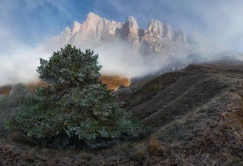 Посеребрила осень горные луга.