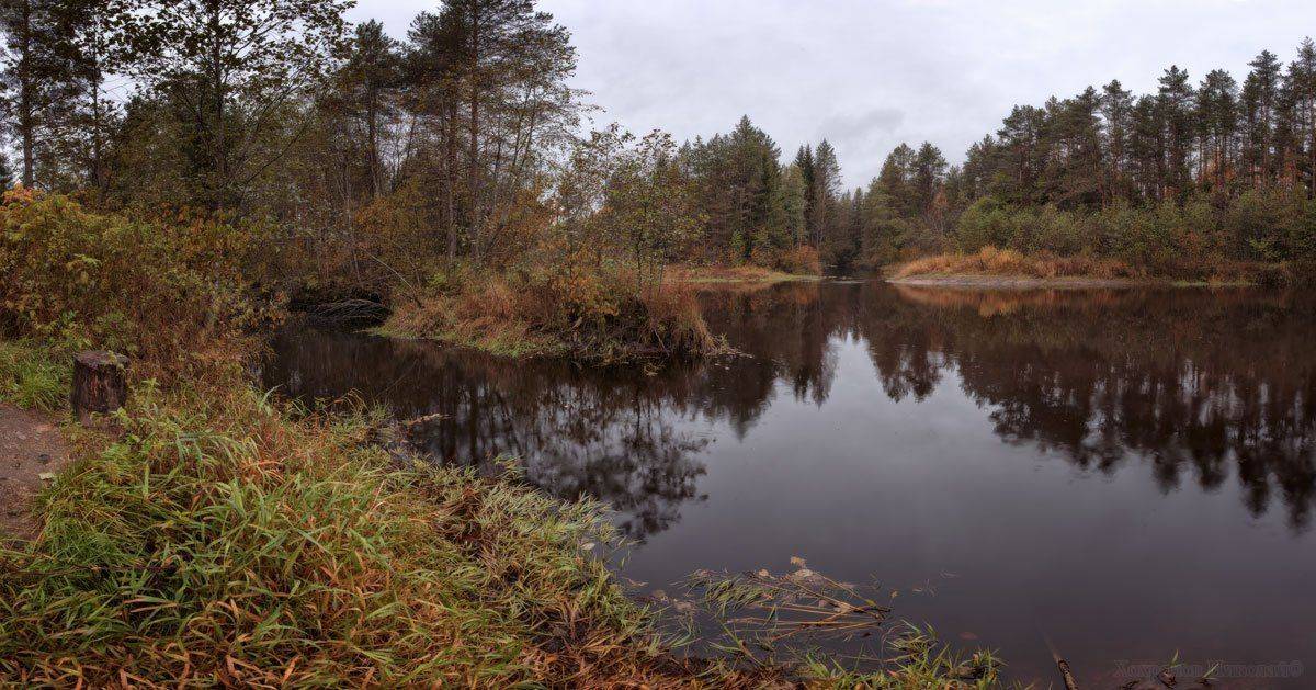 , Хохряков Николай