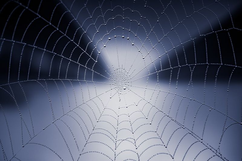 The matrix фото превью