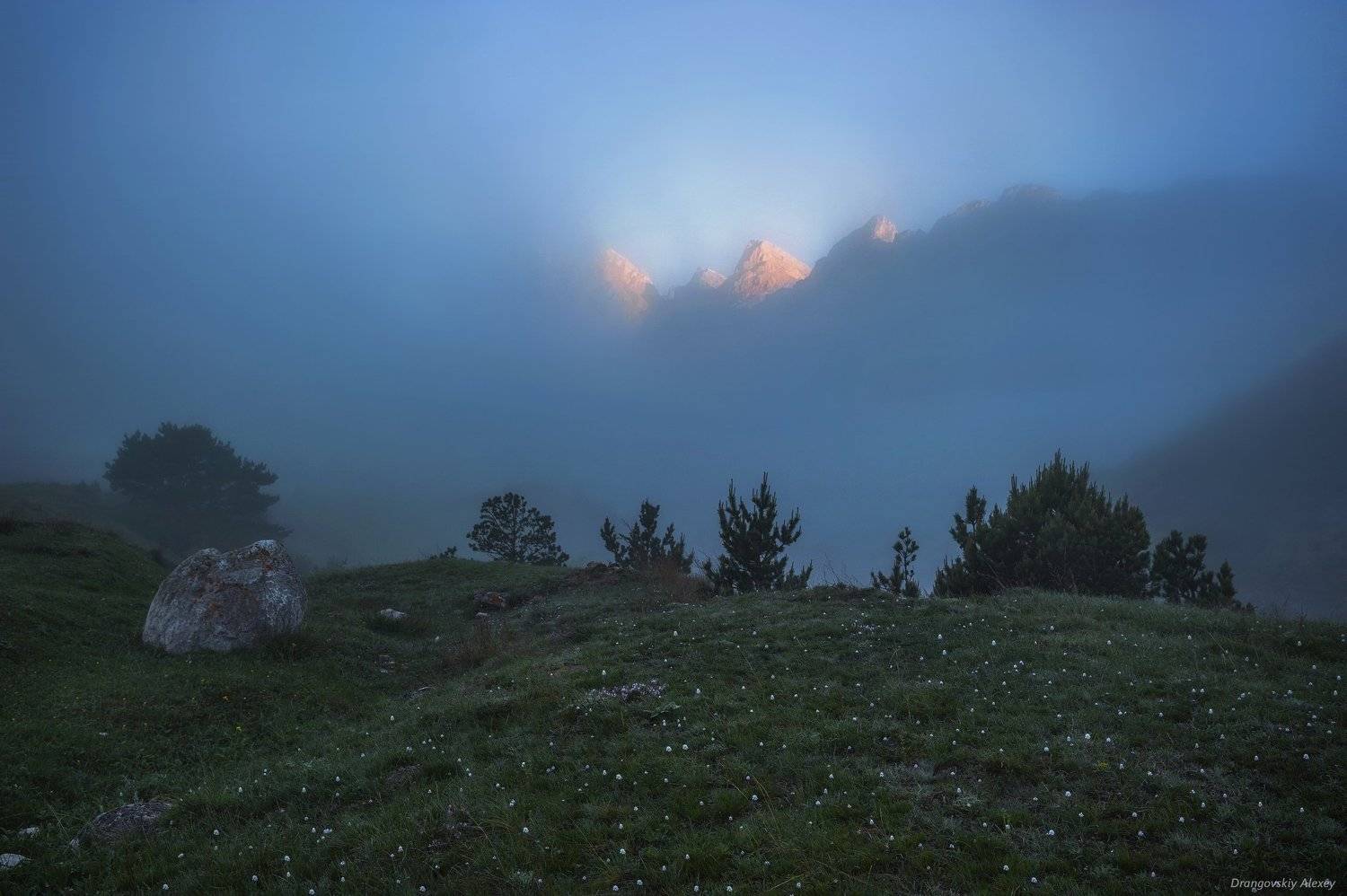 , Алексей Дранговский