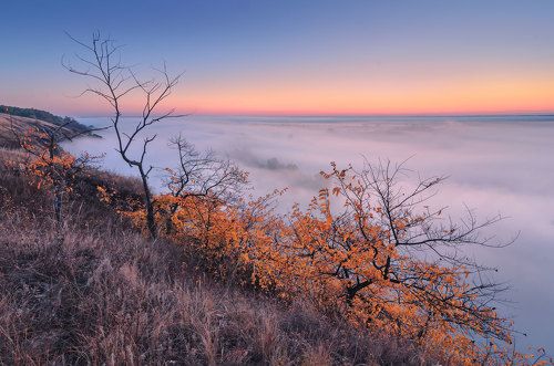 В сумерках рассвета