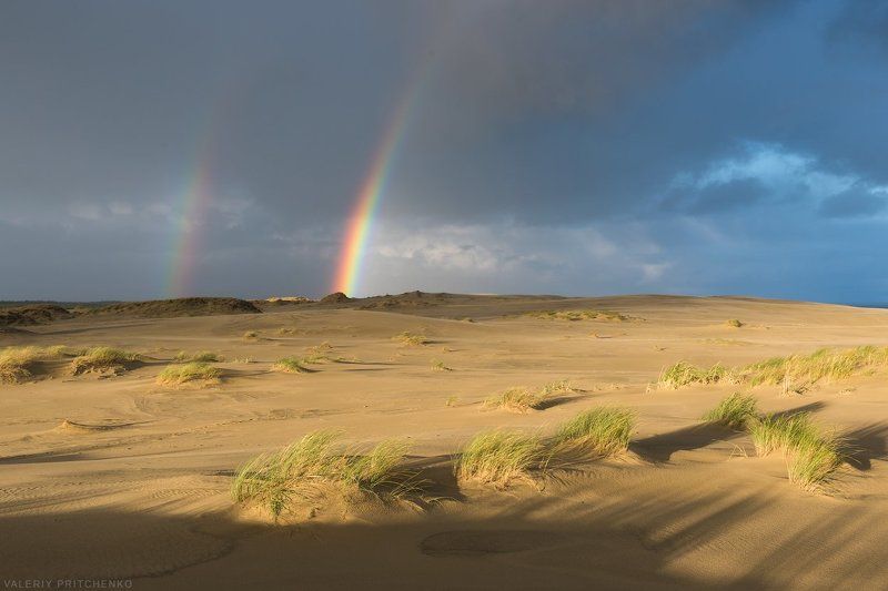 природа, пейзаж, радуга, осень Радуга и дюны фото превью