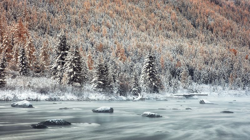 мульта, алтай р.Мульта фото превью