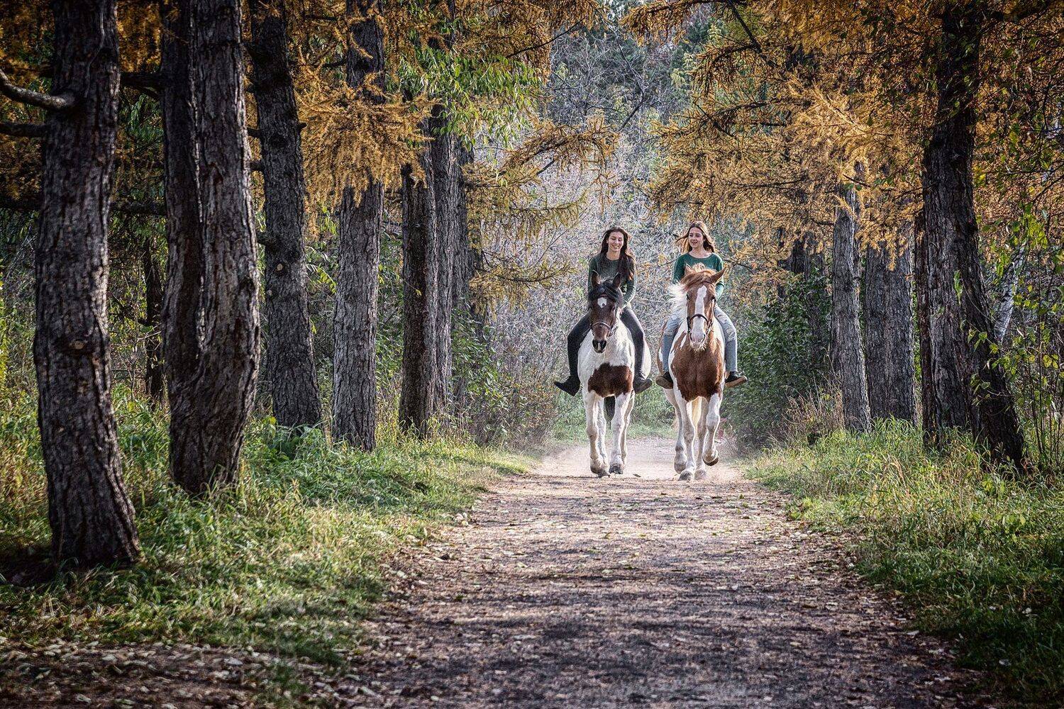 новосибирск, Андрей Поляков
