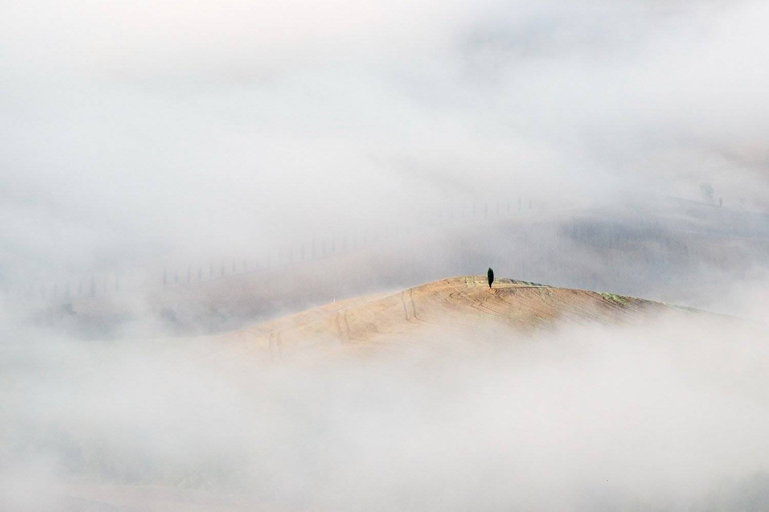 тоскана, италия, пейзаж, холмы тосканы, fog, tuscany, italy, туманное утро, туман, val d'orcia, Ефименко Татьяна
