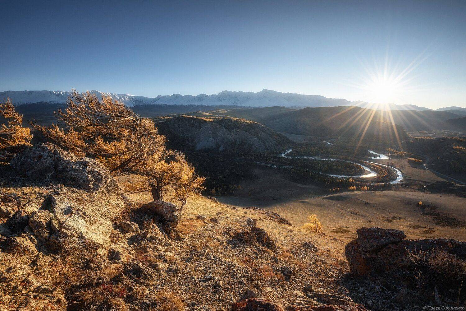 Алтай, пейзаж, осень, солнце, свет, октябрь, Курай, горы, желтый, цвет, Павел Силиненко