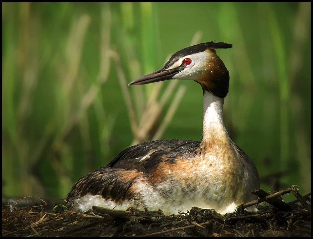, Валерий Субачев