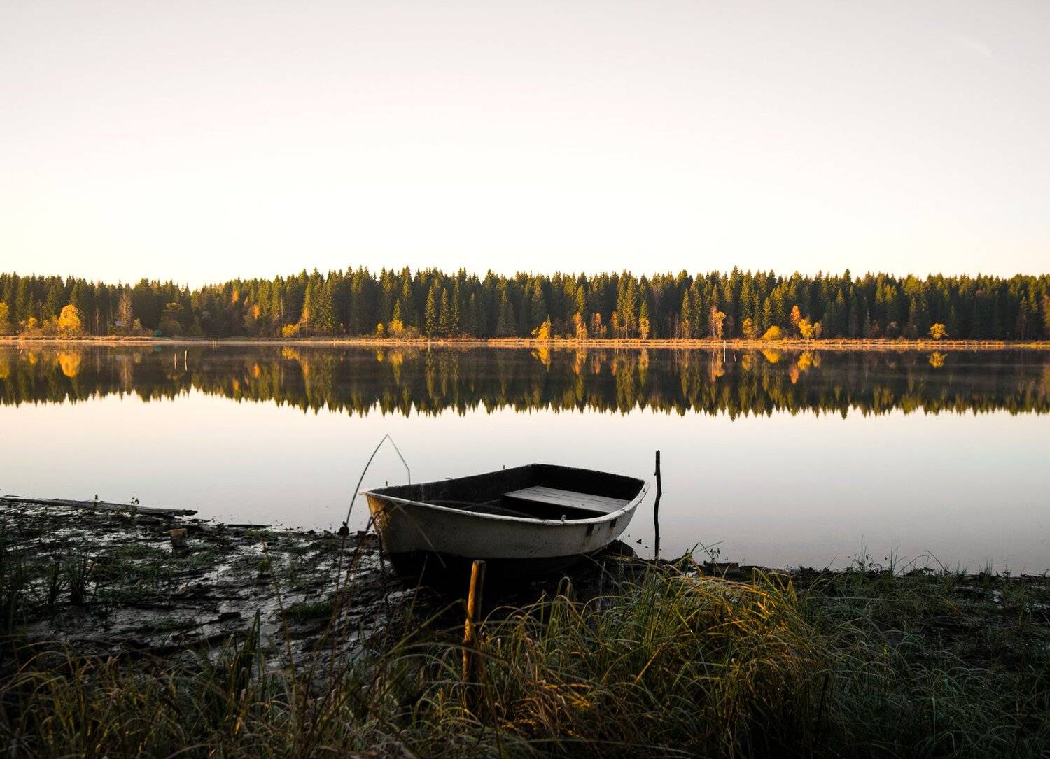 осень,утро,природа, Карепанов Евгений