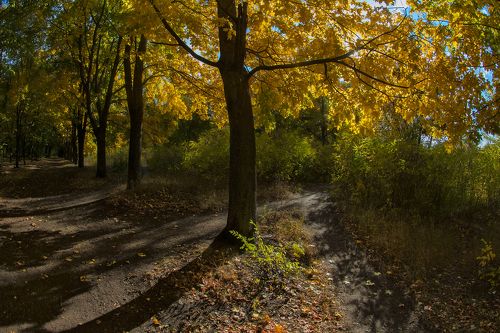 Парковая, осенняя ...