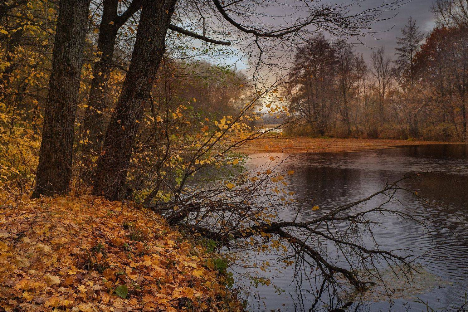 осень,утро,берег,река, Roma  Chitinskiy