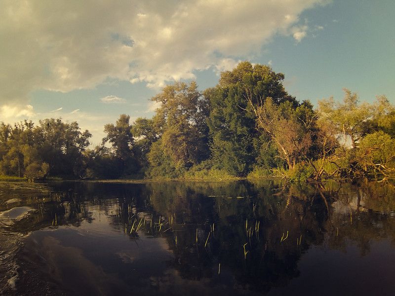 *** фото превью