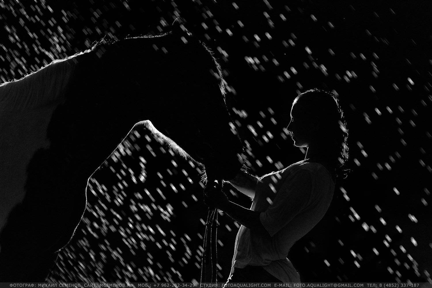 horse #михаилсеменов #фотографярославль #сертификат #подарок #фотослошадкой #аквалайт #свет #красота #модель #наездница #ночь #эквитерра, Михаил Семенов