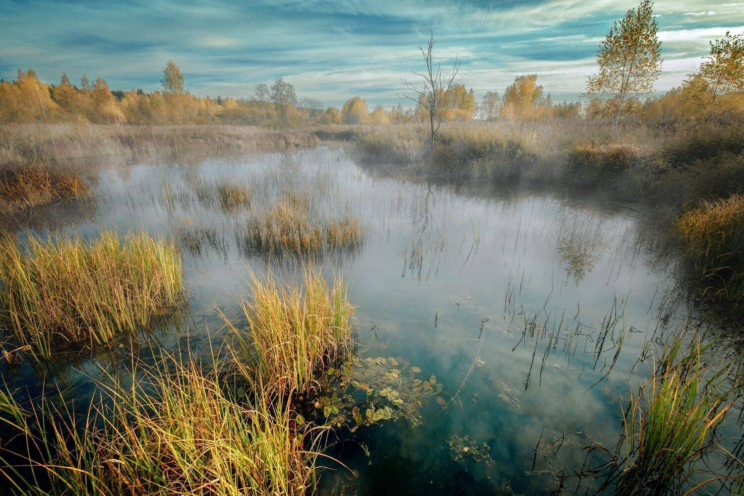 истра, осень, октябрь, туман, вода, пейзаж, Андрей Чиж