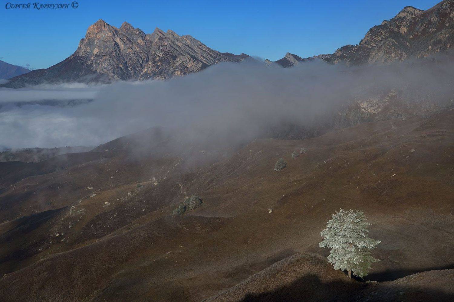 кавказ, ингушетия, заповедник эрзи, Сергей Карпухин