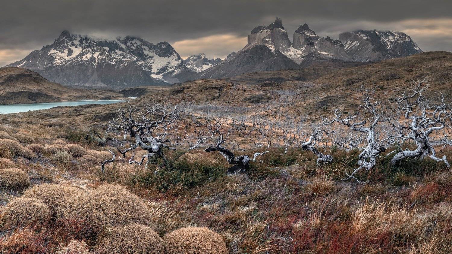 патагония, чили, торрес, patagonia, chile, Сергей Алещенко