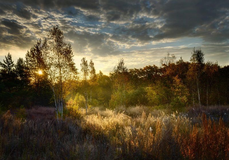 приморский край, солнце, рассвет Приморские мотивы фото превью
