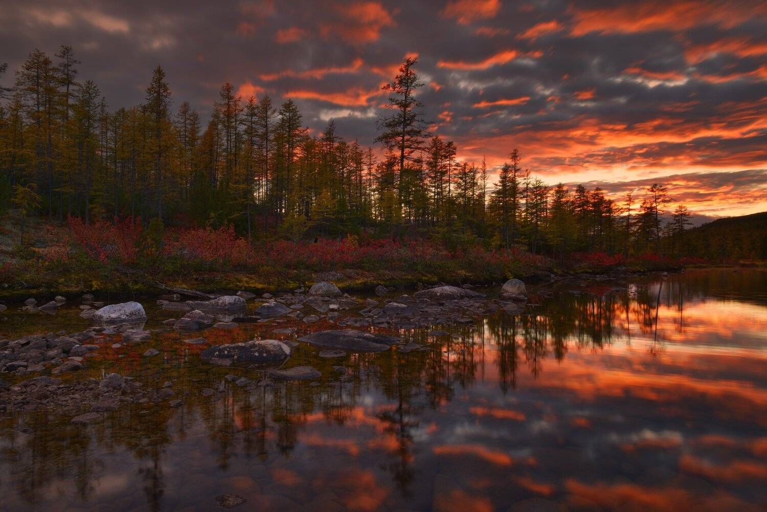 , Максим Евдокимов (www.wildphotorus.ru)