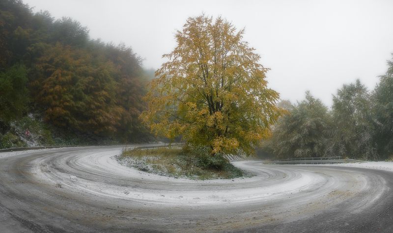 Одиноко фото превью