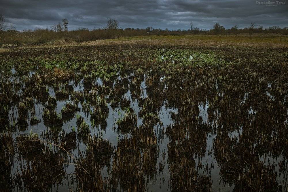 пейзаж,природа,утро,осень,настроение, Taras