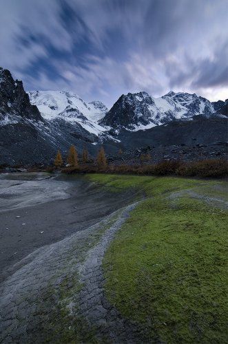 что снится гигантам